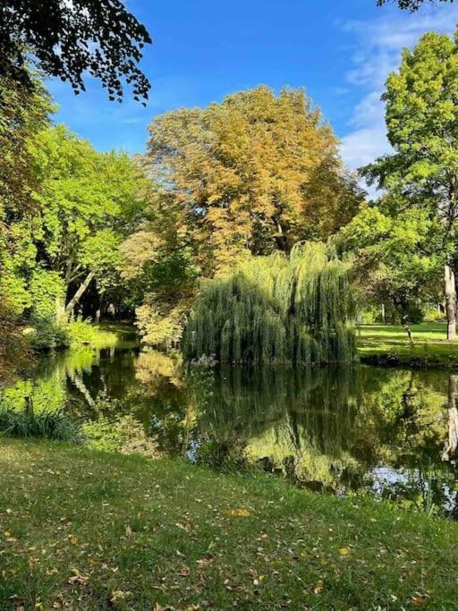 Ein Gemuetlicher Platz Im Gruenderzeitviertel Chemnitz Dış mekan fotoğraf